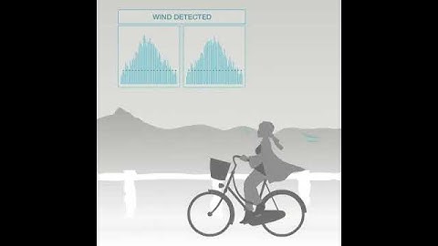 Interton: Wind Noise Reduction Feature Animation