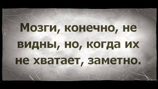 Свободный человек. От мозга.