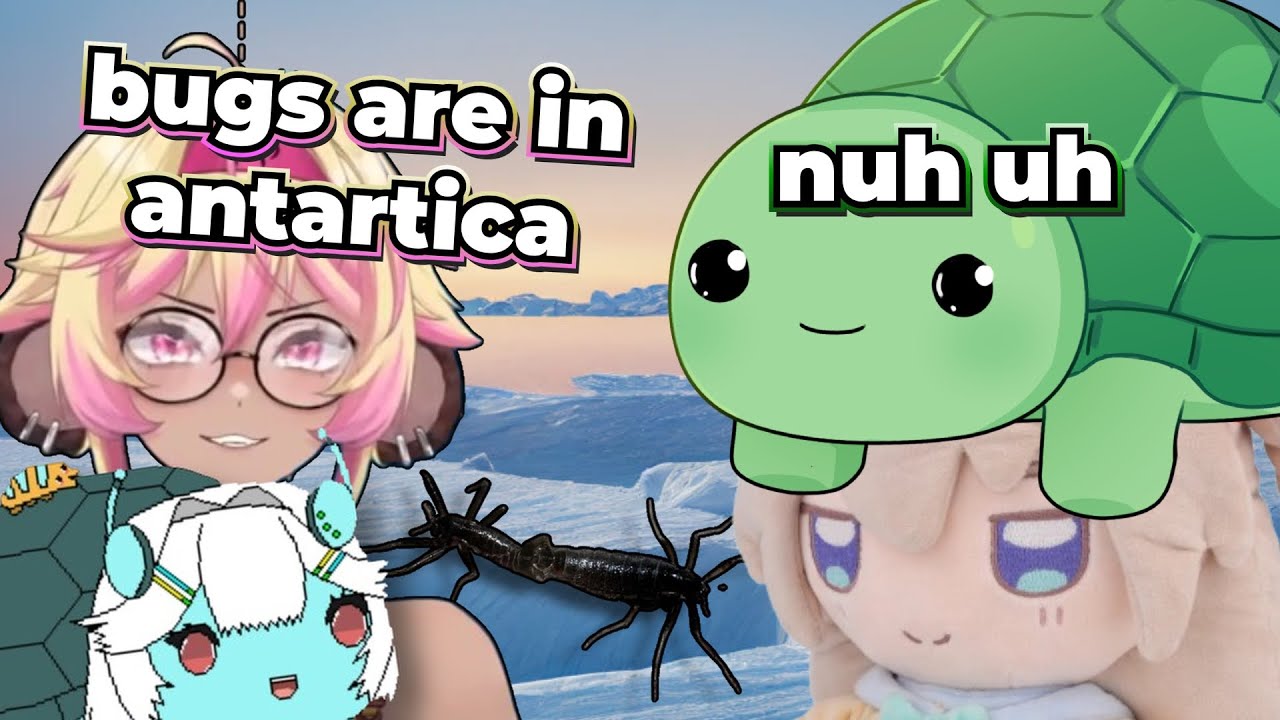 Коко пришла проверить утверждение Ведала о насекомых.