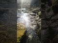 Natura płynąca rzeka #natura #rzeka #spokoj