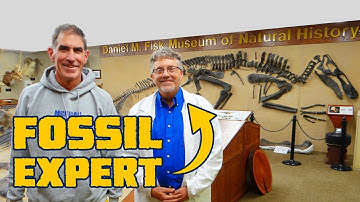 7 Techniques for Cleaning Fossils