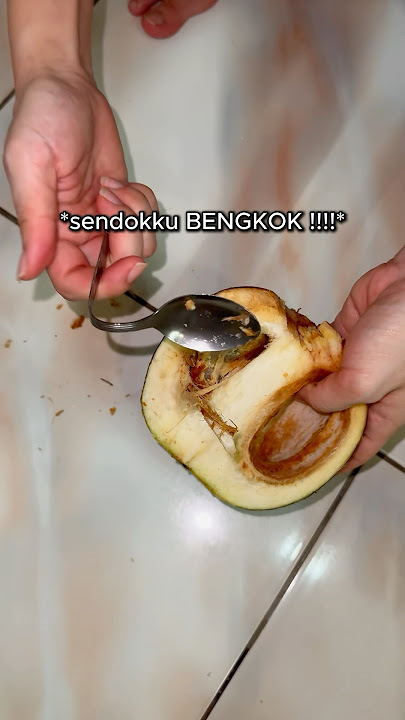 MY LONTAR FRUIT IS HARD LIKE A STONE!!! 😭