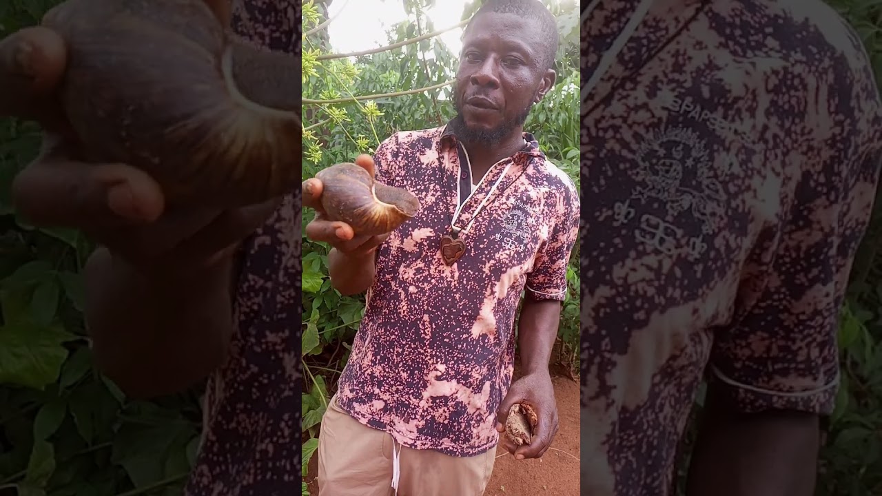 ПРИЗНАЙСЯ И УМРИ