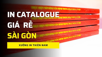 In Catalogue Giá Rẻ HCM - Tận Xưởng - Không Qua Trung Gian