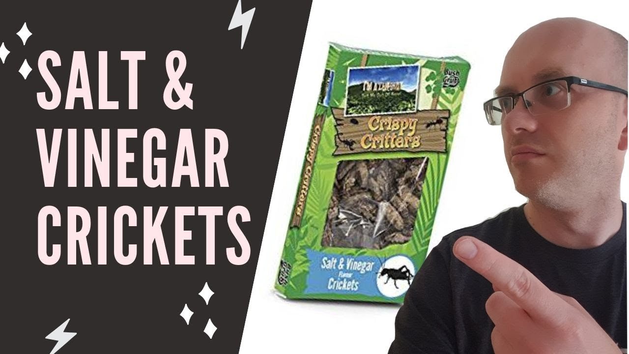 Bush Grub Salt & Vinegar Crickets Review The Ento Podcast YouTube