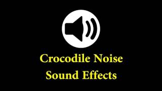 Crocodile Noise Sound Effects - Cartoon Sound Effect - Sfx Free