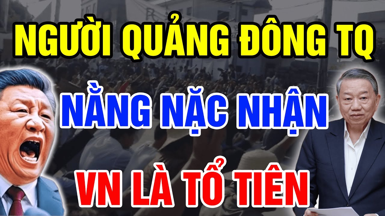 Người Quảng Đông Trung Quốc BẤT NGỜ Bỏ Gốc Hán Nằng Nặc Đòi Nhận VN Là Tổ Tiên