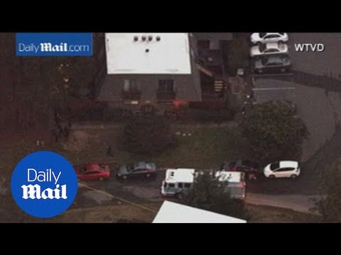 Aerials: Three Muslim students shot dead near UNC campus - Daily Mail