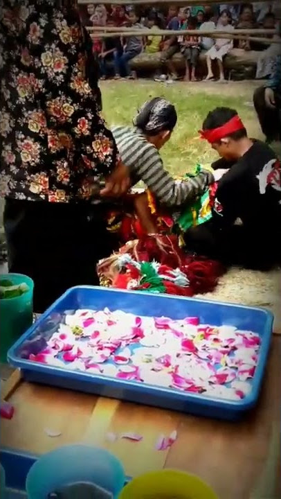 Sang Gedruk Pamit Mulih #shorts