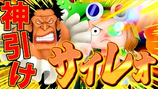 検証手伝ってください！！【バウンティラッシュ】