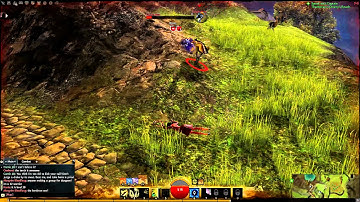 An amazing Guild Wars 2 bug