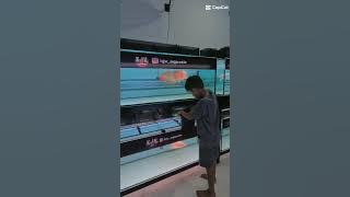 arwana super red spesial dan harga terbaik