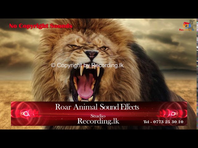 Animals - Lion Roar Sound Effect - Song Download from Hollywood Sound  Effects - Volume 1 @ JioSaavn