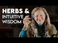 Herbs to deepen intuitive wisdom  robin rose bennett