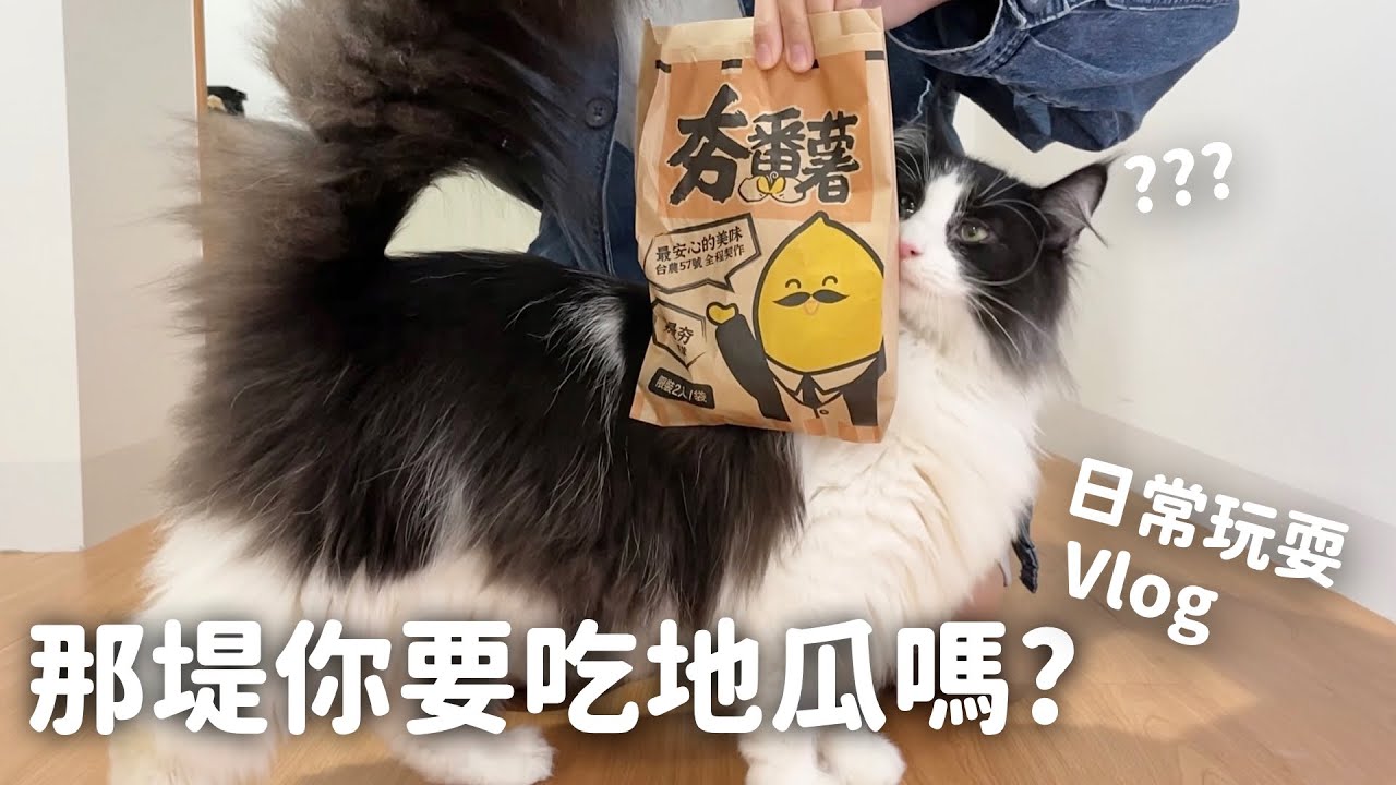 那堤你要吃烤地瓜嗎？🍠 和那堤玩耍日常 Vlog EP27