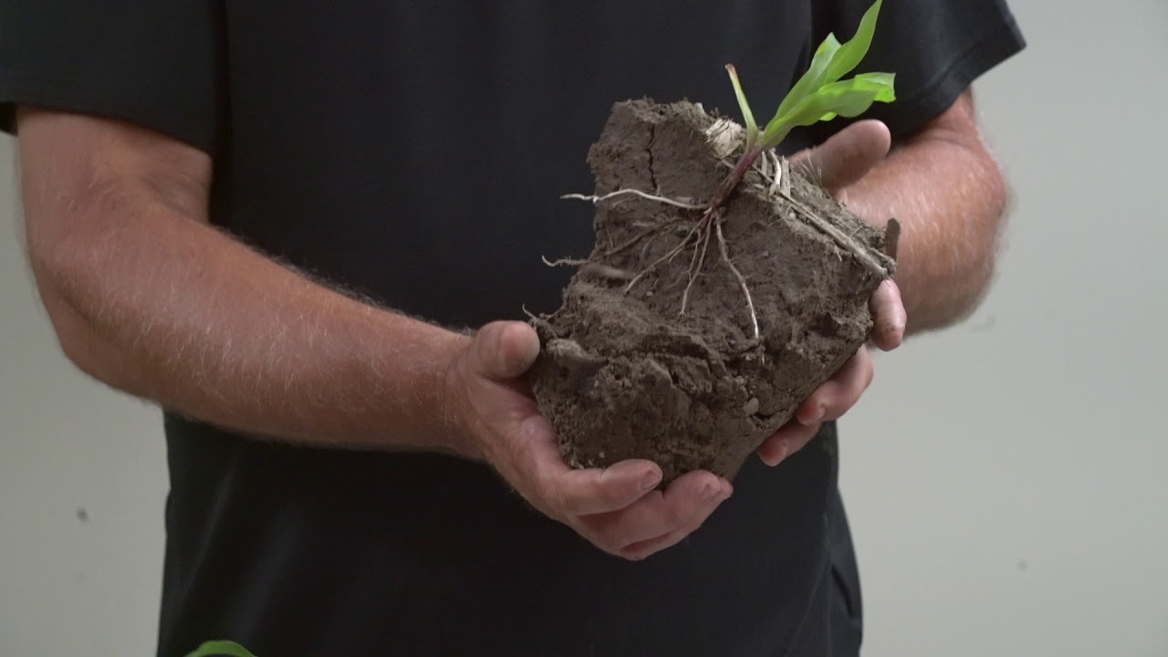 Soil Health Demonstration: Compaction - YouTube