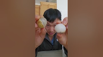 LYCHEE vs. LONGAN vs. RAMBUTAN - Time to settle this once and for all