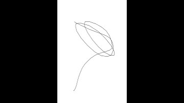 Experimental Animation