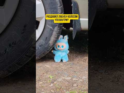 Раздавил Лабубу колесом, что внутри? #лабубу #labubu #интересное #игрушки #тутор #чтовнутри #toys