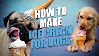 Frosty Paws DOG ICE CREAM!