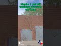 Out of control trees #texas #shorts #tree #lumberjack  #trimmingmachine