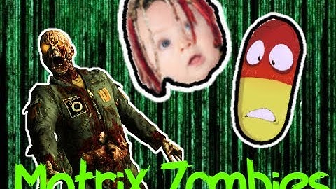 Round 30 - Matrix (World at War Custom Zombies)