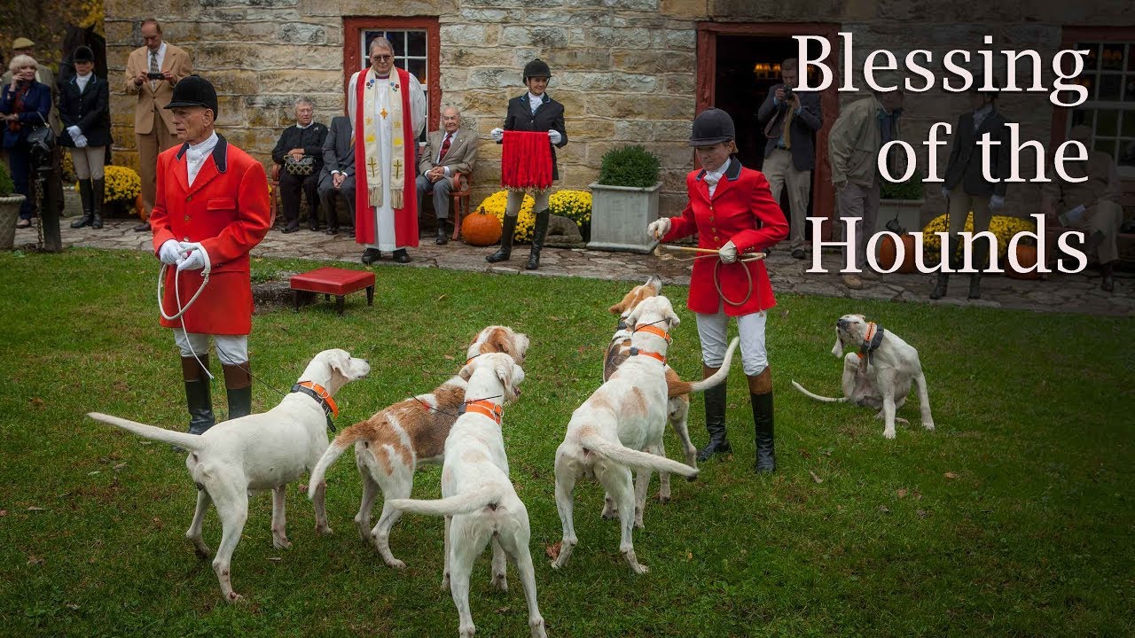 Blessing of the Hounds