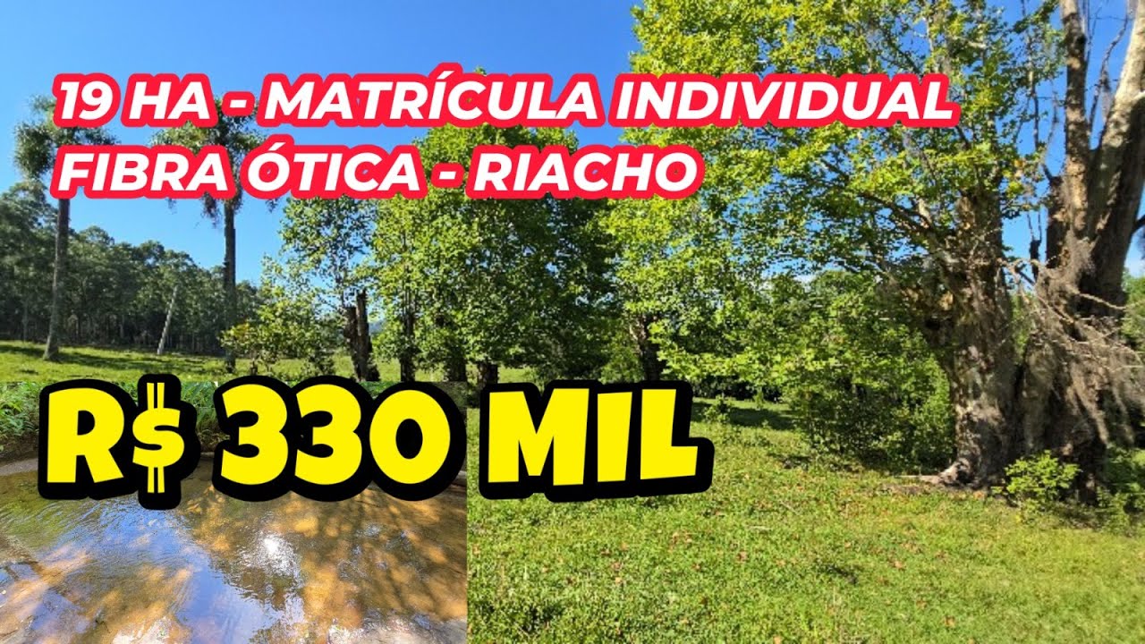 ( VENDIDO) SÍTIO EM TAQUARA 19HA ESCRITURA CASINHA RIACHO COM CACHOEIRA FIBRA ÓTICA R$ 330 MIL