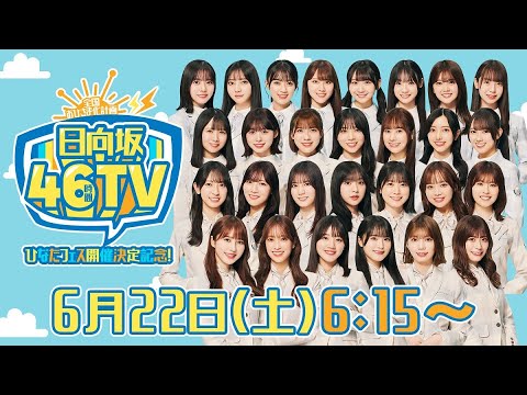 日向坂46 全国おひさま化計画 ペンライト　6本 2025年最新】全国おひさま化計画 ペンライトの人気アイテム