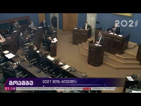 2021 წლის ბიუჯეტის განხილვა პარლამენტში