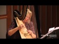 Londonderry air  danny boy song  instrumental flute  harp irish music  live performance solo