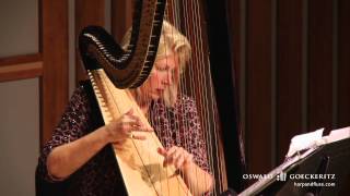 Londonderry Air - Danny Boy Song - Instrumental Flute & Harp Irish Music - Live Performance Solo chords