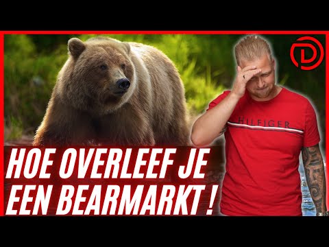 Hoe OVERLEEF je een BEAR MARKT ?!