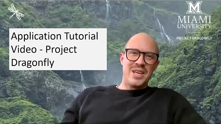 Dragonfly Application Tutorial