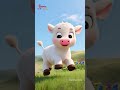 Lied von der Kuh und dem kleinen Kalb - Cow and Little Calf Song | Rhymes for Children's  | Shorts