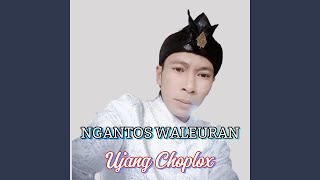 Ngantos Waleuran