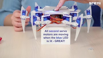 STEMI Hexapod -  Education overview