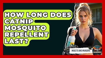 How Long Does Catnip Mosquito Repellent Last? - Insects and Invaders