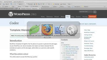 Wordpress Tutorial Trainer Part 6 - Creating Single Pages