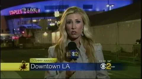 Serene Branson, What Happened to Grammys Reporter?...