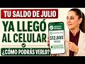 💰 Tu Saldo de JULIO Llega en JUNIO al Celular: Revísalo 📲