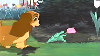 Lady and the Tramp (1955) - Lady's Morning