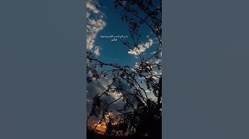 قرآن كريم بصوت جميل ستوريات دينيه ستوري انستا قرآن ستوريات بدون حقوق صوت جميل وهادئ❤️