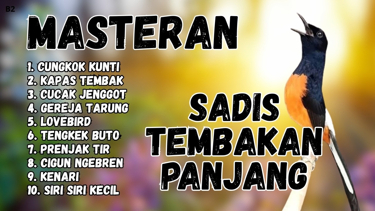 🔴 GACOR SADIS MENTAL KUAT MASTERAN MURAI BATU GACOR