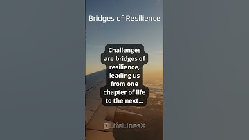 Bridges of Resilience: Navigating Life