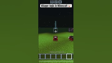 Villager logic in Minecraft #minecraft #shorts
