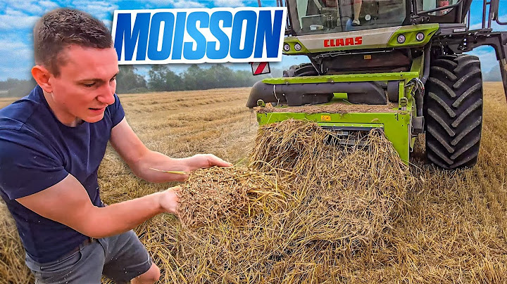 LES MOISSONS AVANCENT BIEN ! (1 mois dans ma peau 13/30)