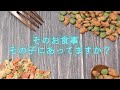 そのお食事、その子にあってますか？