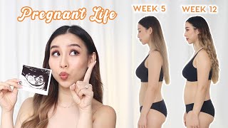 My Pregnancy So Far... Symptoms, Cravings & Weight Gain | 1st Trimester