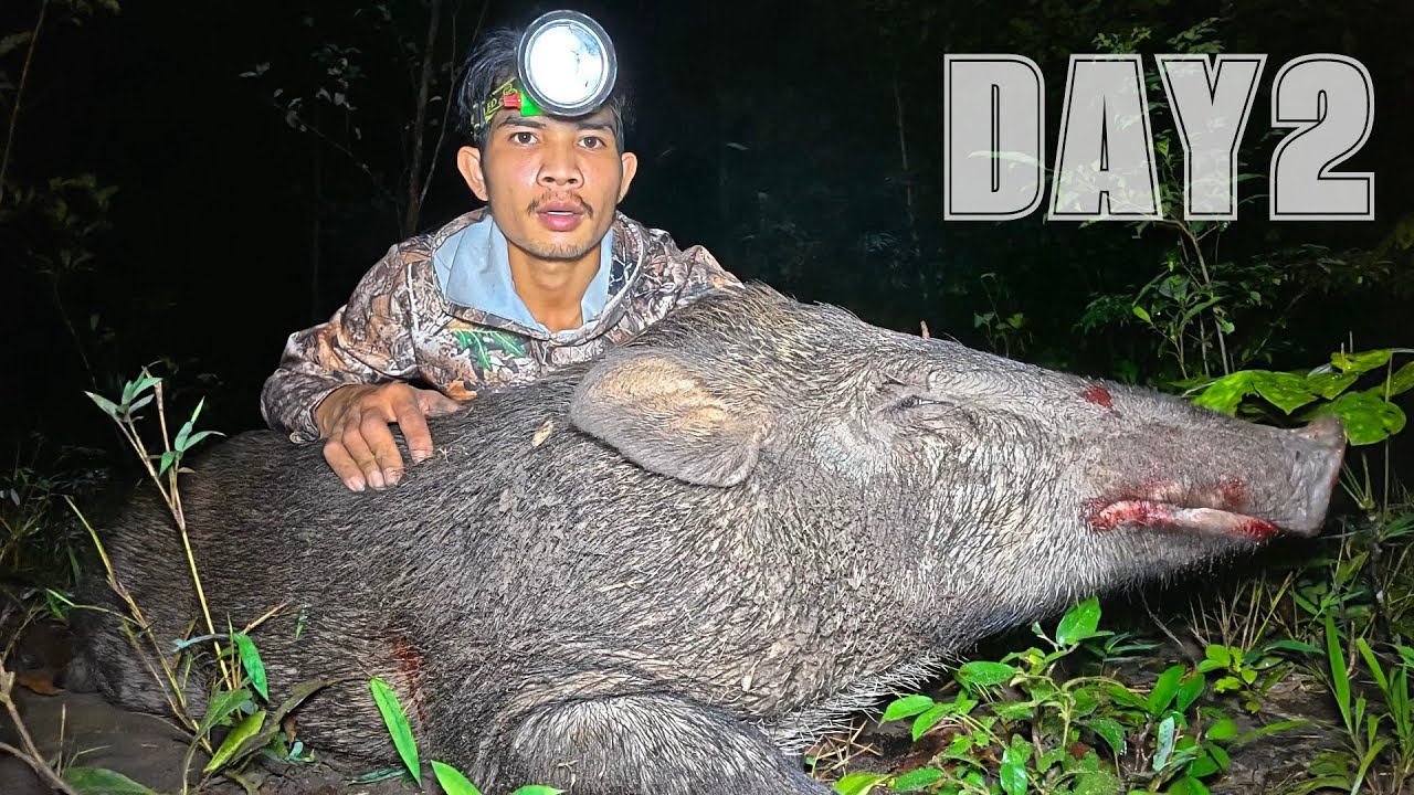 หมานหมูป่าน้ำหนัก70กิโล คนเดียวเกือบเอาไปไม่รอด//ຫມານຫມູປ່າຄົນດຽວເກືອບເອົາໄປບໍ່ລອດ